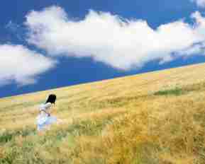 谷‍歌﻿seo教​程‍